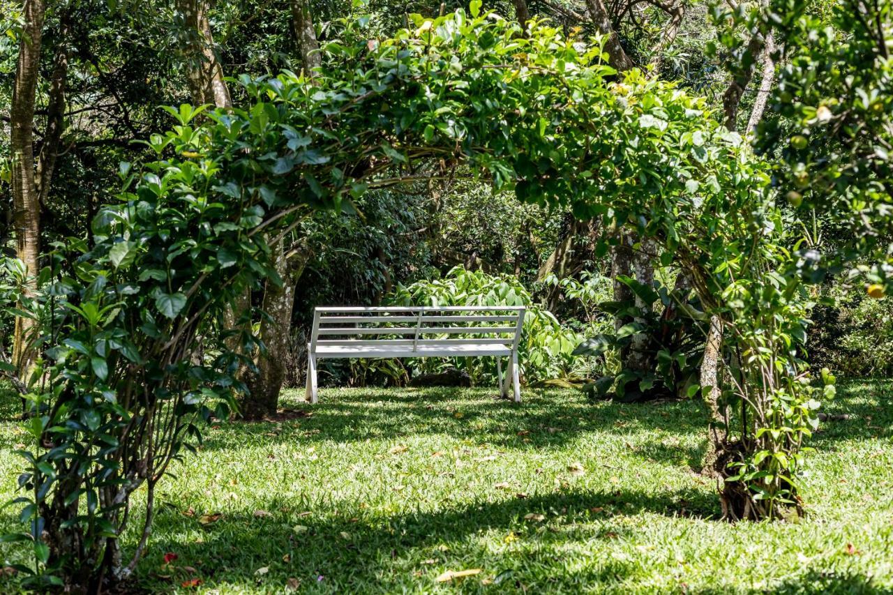 La Terraza Guest House B&B Grecia Ngoại thất bức ảnh
